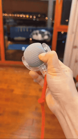 AutoRoll Smart Pet Toy