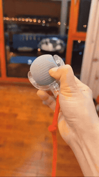 AutoRoll Smart Pet Toy