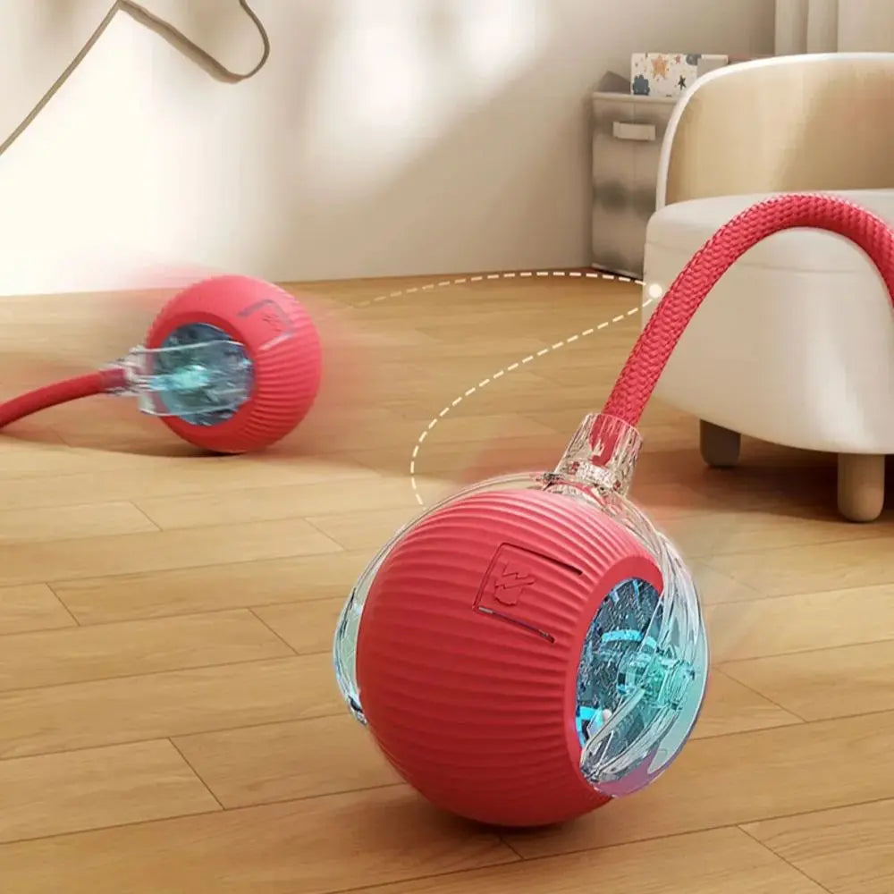 AutoRoll Smart Pet Toy